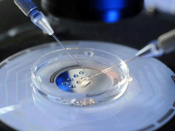 IVF Success Rates for 40+ Women