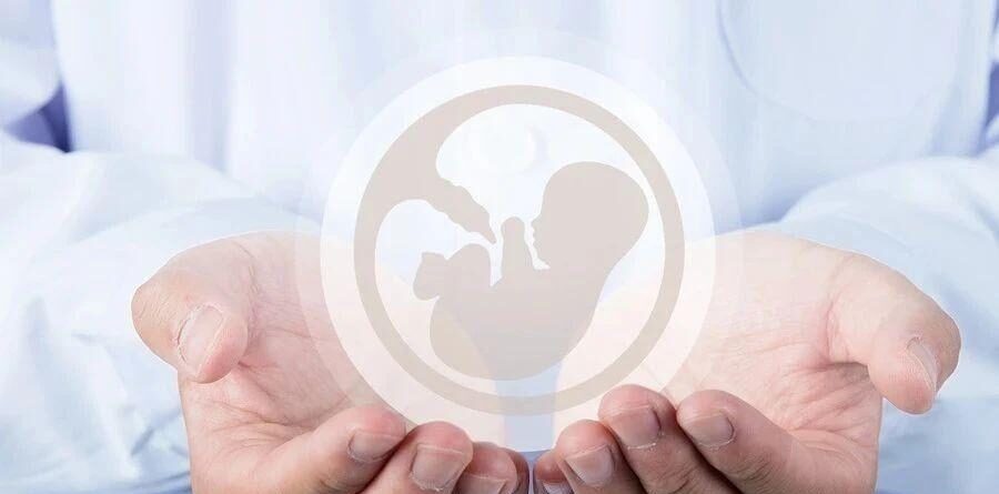 International Reproductive Experts Crack the Golden Hour for Second Transfer of Failed Embryos