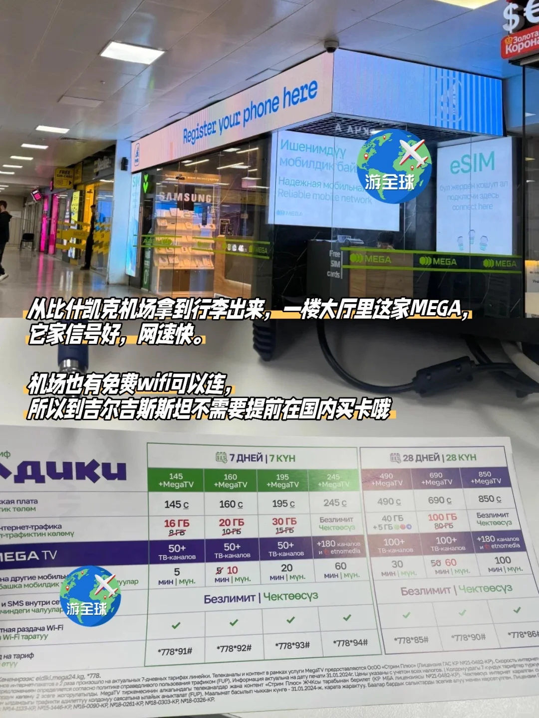 Customs and Immigration Procedures