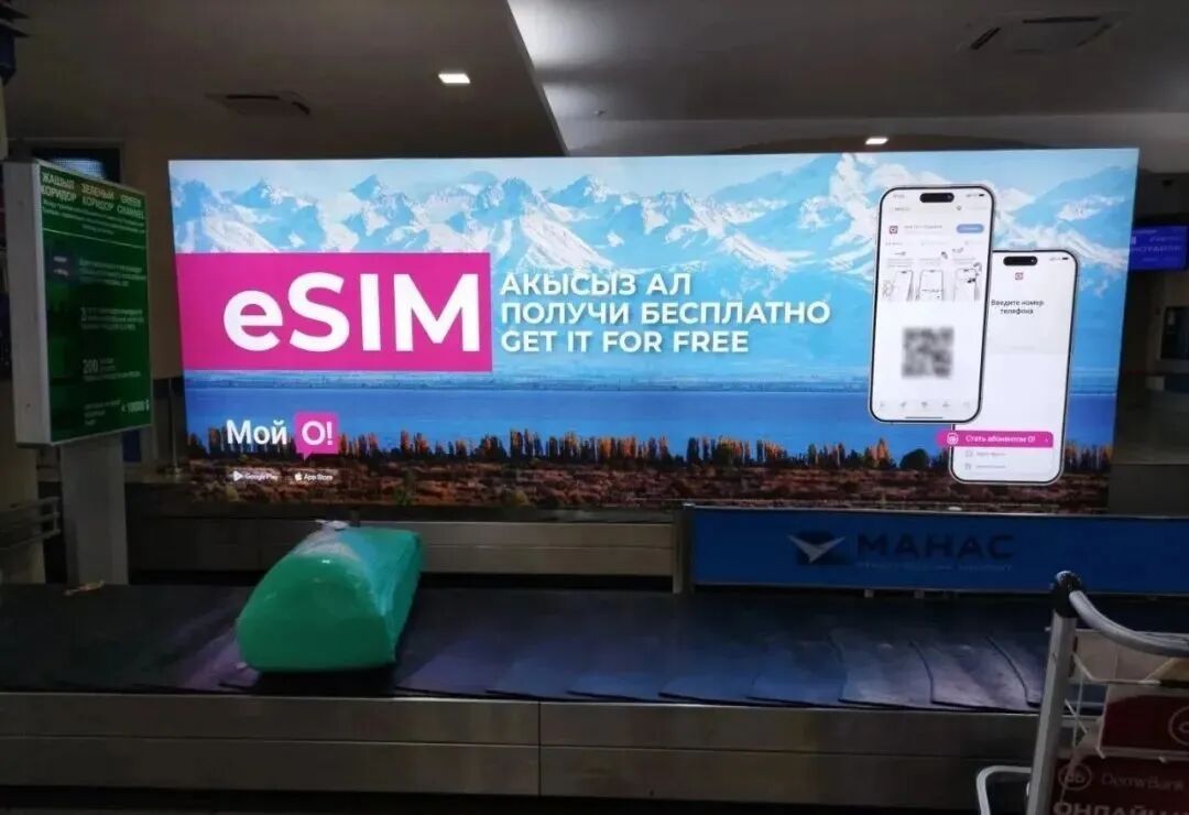 2026 Guide for Chinese Citizens Entering Kyrgyzstan